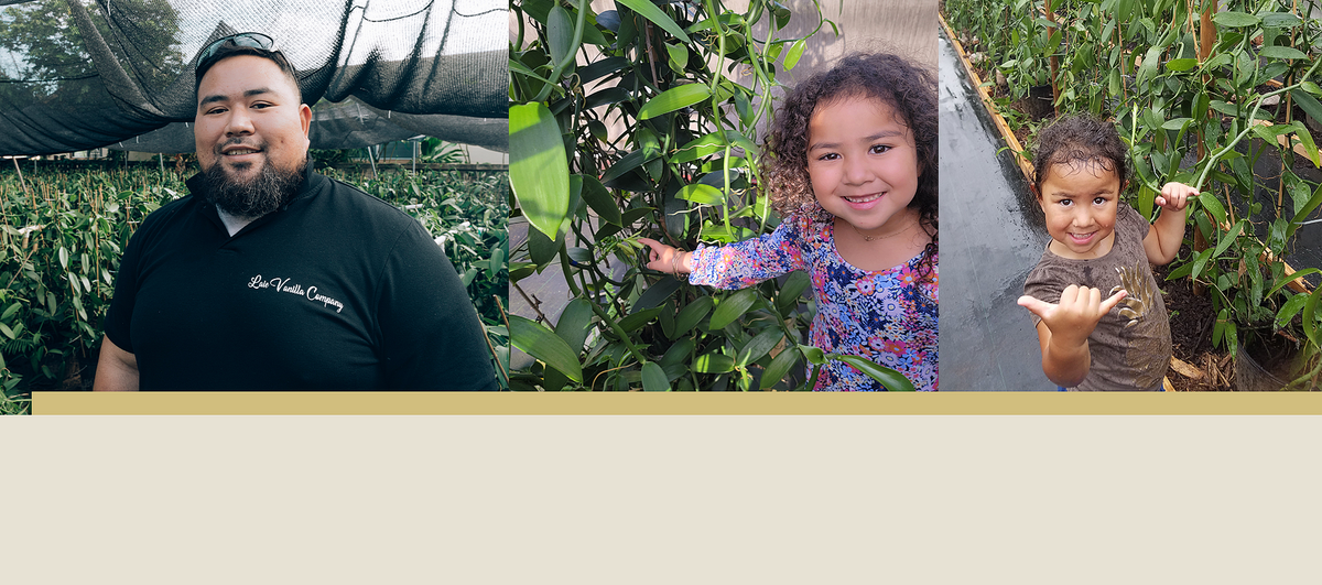 Laie Vanilla Company NorthShore Vanilla Store